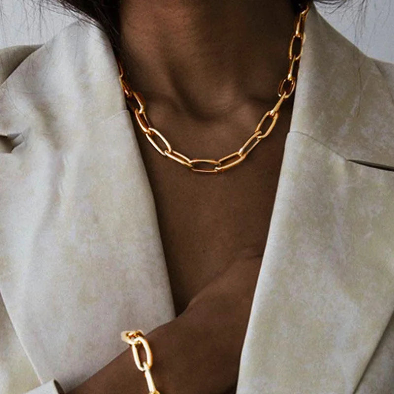Stainless Steel Thick Chain Necklace – Unisex Punk Choker Jewelry for Women & Men