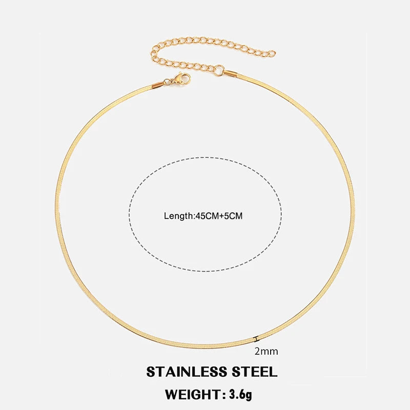 Classic Flat Snake Chain Choker Necklace – Stainless Steel Herringbone Design in Gold & Silver